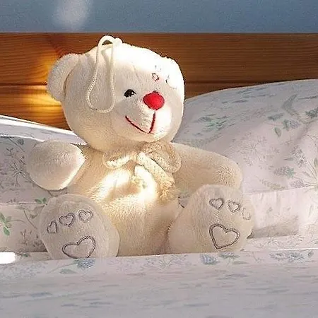 Appartamento Alex - Nancy - Zaga *