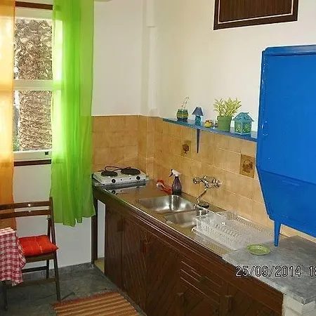 Daire Alex - Nancy - Zaga