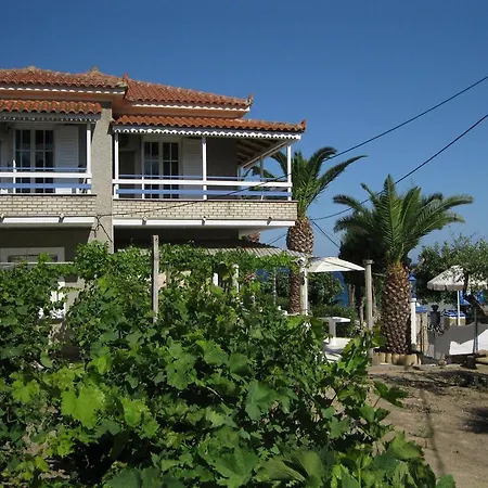 Alex - Nancy - Zaga Daire Koróni