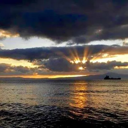 Daire Alex - Nancy - Zaga Koróni