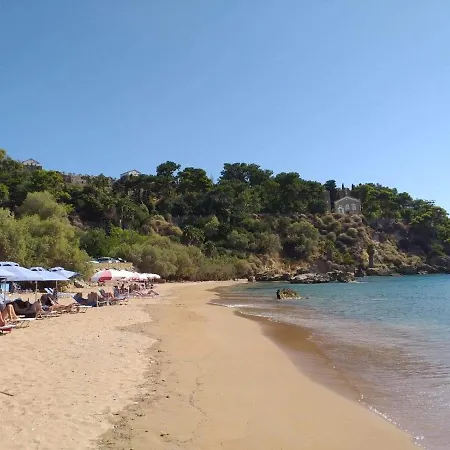 Alex - Nancy - Zaga Daire *