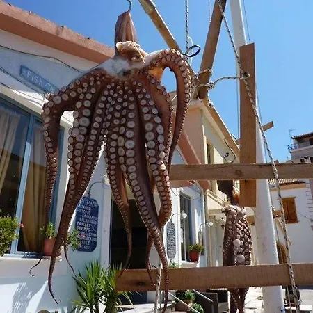 Alex - Nancy - Zaga *