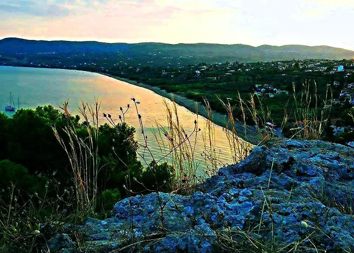 Alex - Nancy - Zaga Koróni