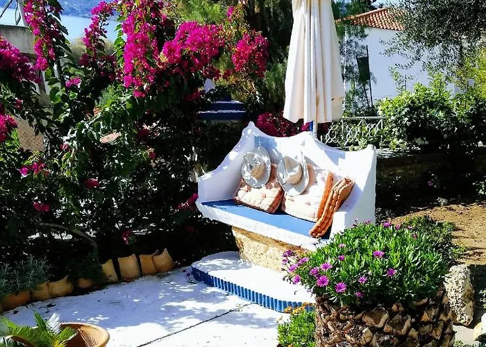 Alex - Nancy - Zaga Koróni