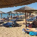 Alex - Nancy - Zaga Koróni