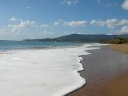 Alex - Nancy - Zaga *