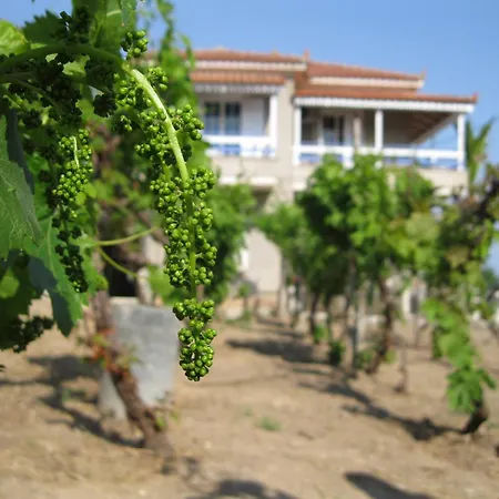 Apartment Alex - Nancy - Zaga Koroni (Messinia)