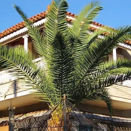 Alex - Nancy - Zaga Koroni (Messinia)