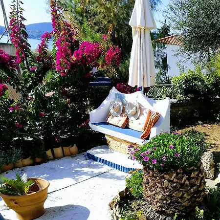 Alex - Nancy - Zaga Koroni (Messinia)