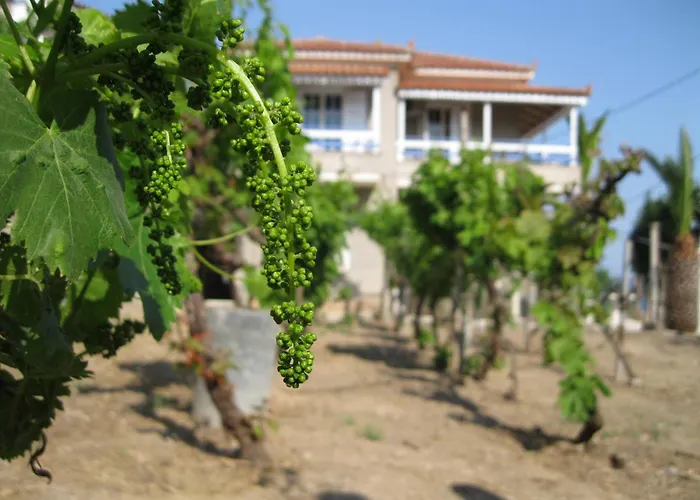 Apartmán Alex - Nancy - Zaga Koróni