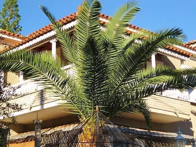 Alex - Nancy - Zaga Koróni