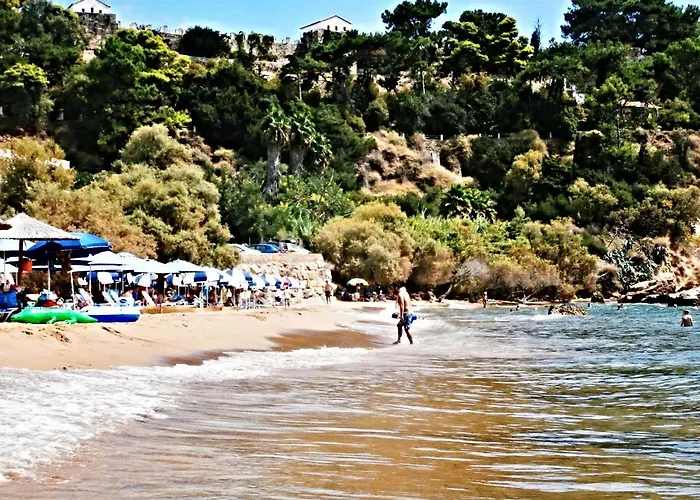 Alex - Nancy - Zaga *