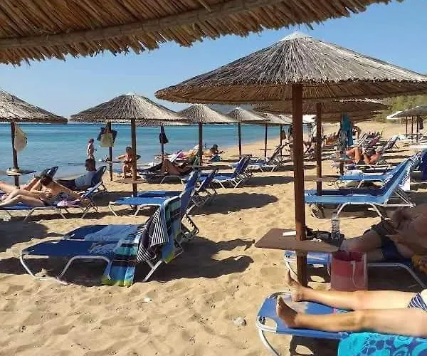 Alex - Nancy - Zaga Koróni